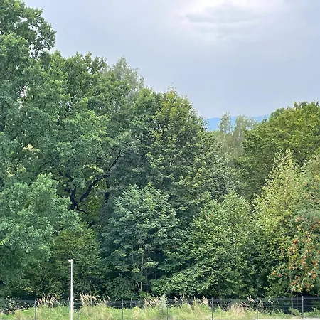 Apartament Laguna Beskidow Luxury Lake View Apartment 6 Guests Large Terrace